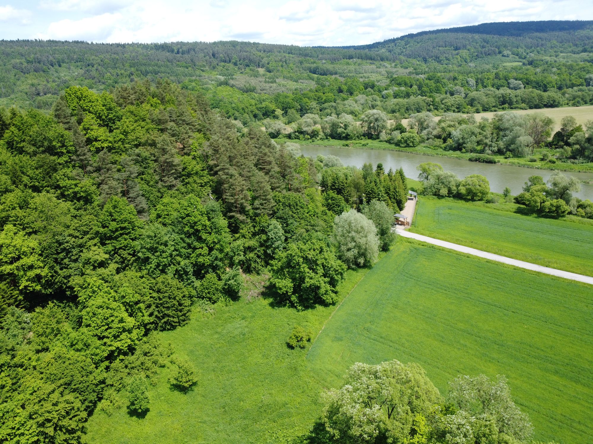 Działka rolno – leśna nad rzeką w miejscowości Temeszów