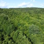 Działka rolno – leśna w miejscowości Pisarowce