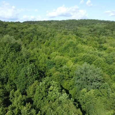 Działka rolno – leśna w miejscowości Pisarowce